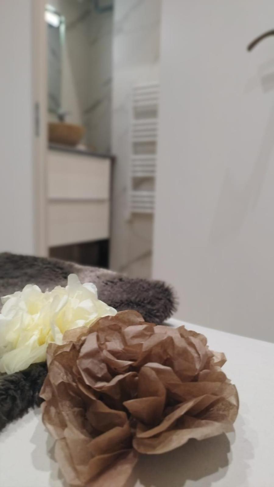 Bourgoin-Jallieu Appartement Lumineux En Rdc מראה חיצוני תמונה