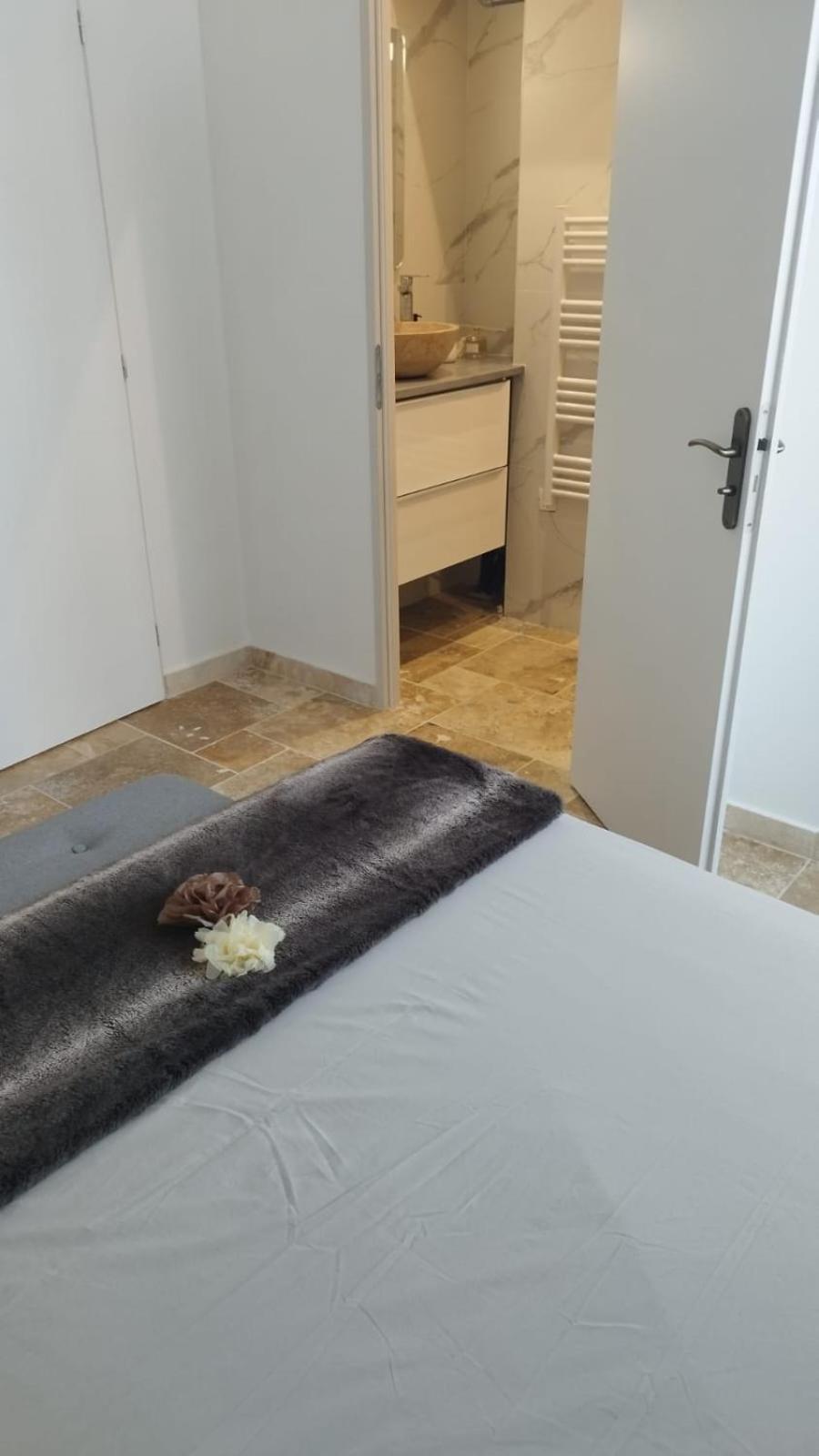 Bourgoin-Jallieu Appartement Lumineux En Rdc מראה חיצוני תמונה